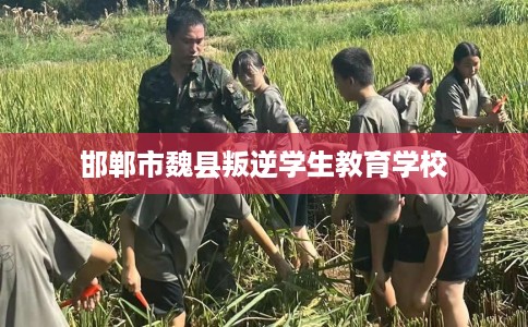 邯郸市魏县叛逆学生教育学校