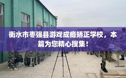 衡水市枣强县游戏成瘾矫正学校，本篇为您精心搜集！