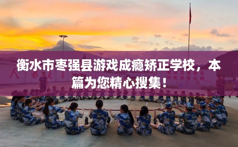 衡水市枣强县游戏成瘾矫正学校，本篇为您精心搜集！