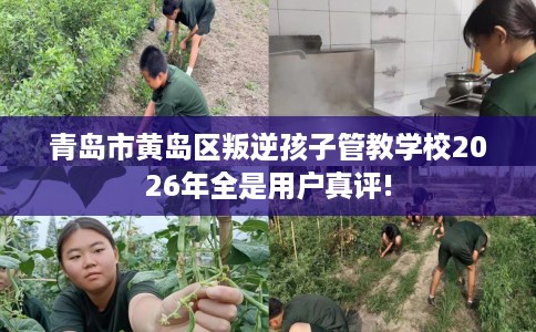青岛市黄岛区叛逆孩子管教学校2026年全是用户真评!