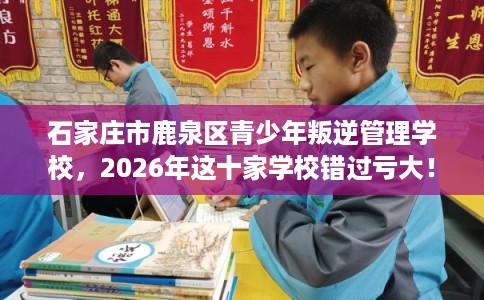 石家庄市鹿泉区青少年叛逆管理学校,2026年这十家学校错过亏大! 石家庄市鹿泉区青少年叛逆管理学校,2026年这十家学校错过亏大!