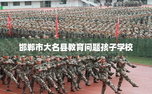 邯郸市大名县教育问题孩子学校