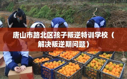 唐山市路北区孩子叛逆特训学校（解决叛逆期问题）