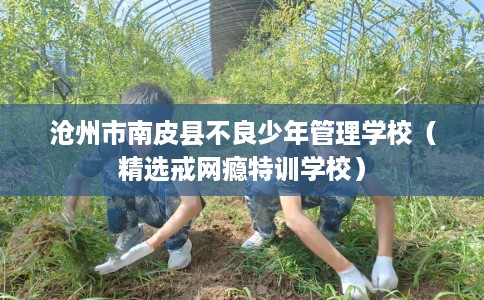 沧州市南皮县不良少年管理学校（精选戒网瘾特训学校）