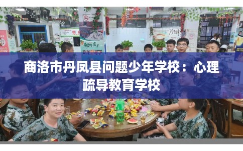 商洛市丹凤县问题少年学校：心理疏导教育学校