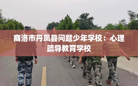 商洛市丹凤县问题少年学校：心理疏导教育学校