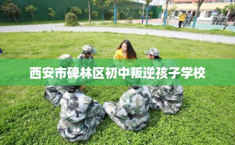 西安市碑林区初中叛逆孩子学校 西安市碑林区初中叛逆孩子学校