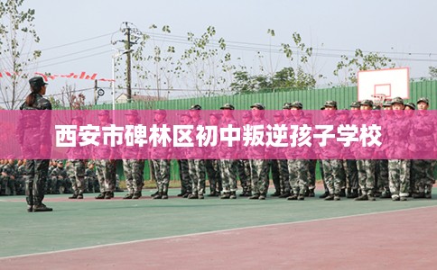 西安市碑林区初中叛逆孩子学校