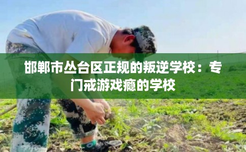 邯郸市丛台区正规的叛逆学校:专门戒游戏瘾的学校 邯郸市丛台区正规的叛逆学校:专门戒游戏瘾的学校