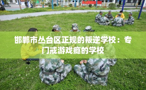 邯郸市丛台区正规的叛逆学校:专门戒游戏瘾的学校 邯郸市丛台区正规的叛逆学校:专门戒游戏瘾的学校