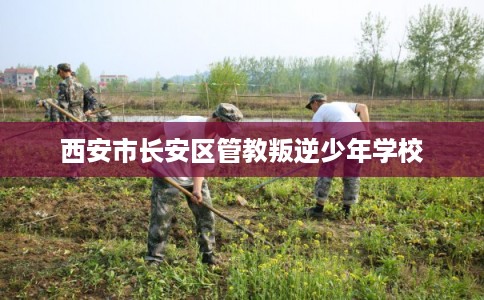 西安市长安区管教叛逆少年学校 西安市长安区管教叛逆少年学校