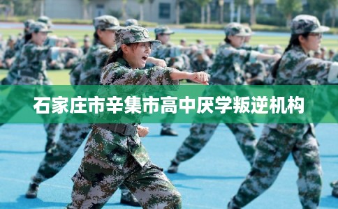 石家庄市辛集市高中厌学叛逆机构 石家庄市辛集市高中厌学叛逆机构