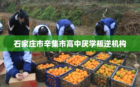 石家庄市辛集市高中厌学叛逆机构 石家庄市辛集市高中厌学叛逆机构