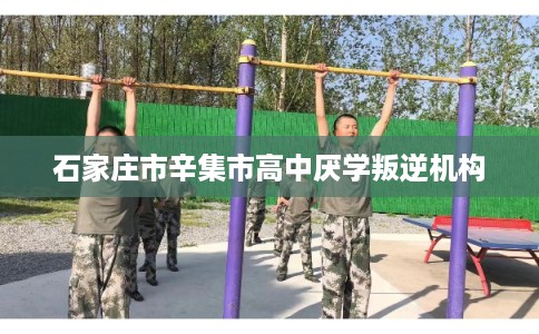 石家庄市辛集市高中厌学叛逆机构 石家庄市辛集市高中厌学叛逆机构