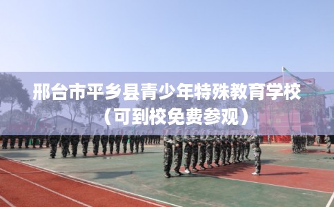 邢台市平乡县青少年特殊教育学校(可到校免费参观) 邢台市平乡县青少年特殊教育学校(可到校免费参观)