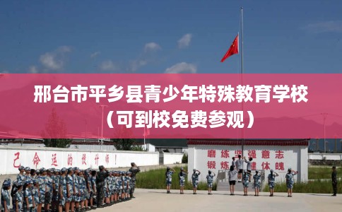 邢台市平乡县青少年特殊教育学校(可到校免费参观) 邢台市平乡县青少年特殊教育学校(可到校免费参观)