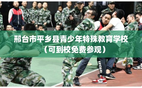 邢台市平乡县青少年特殊教育学校（可到校免费参观）