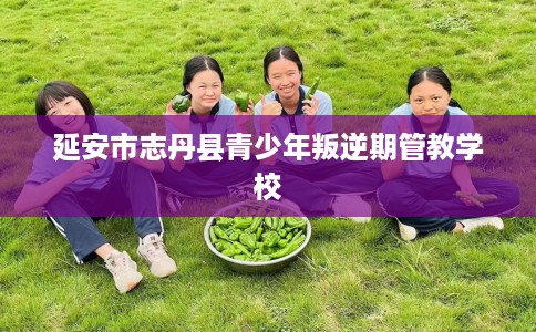 延安市志丹县青少年叛逆期管教学校