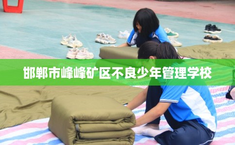 邯郸市峰峰矿区不良少年管理学校 邯郸市峰峰矿区不良少年管理学校