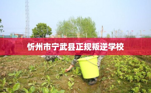 忻州市宁武县正规叛逆学校