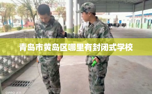 青岛市黄岛区哪里有封闭式学校 青岛市黄岛区哪里有封闭式学校