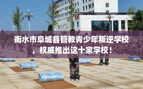 衡水市阜城县管教青少年叛逆学校,权威推出这十家学校! 衡水市阜城县管教青少年叛逆学校,权威推出这十家学校!