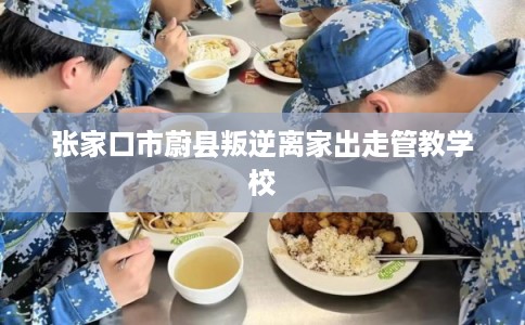张家口市蔚县叛逆离家出走管教学校 张家口市蔚县叛逆离家出走管教学校