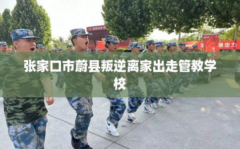 张家口市蔚县叛逆离家出走管教学校 张家口市蔚县叛逆离家出走管教学校