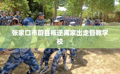 张家口市蔚县叛逆离家出走管教学校
