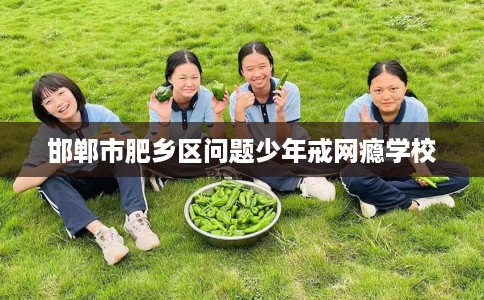 邯郸市肥乡区问题少年戒网瘾学校