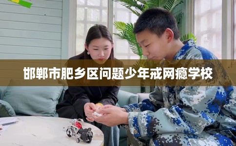 邯郸市肥乡区问题少年戒网瘾学校