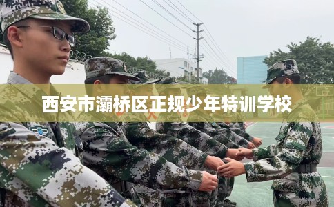 西安市灞桥区正规少年特训学校