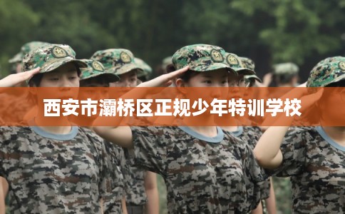 西安市灞桥区正规少年特训学校