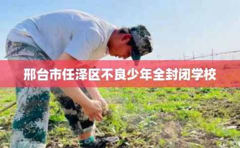 邢台市任泽区不良少年全封闭学校
