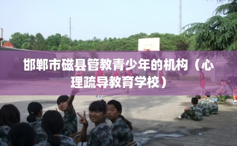 邯郸市磁县管教青少年的机构(心理疏导教育学校) 邯郸市磁县管教青少年的机构(心理疏导教育学校)