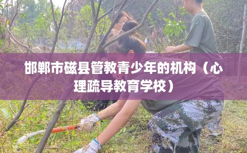 邯郸市磁县管教青少年的机构(心理疏导教育学校) 邯郸市磁县管教青少年的机构(心理疏导教育学校)