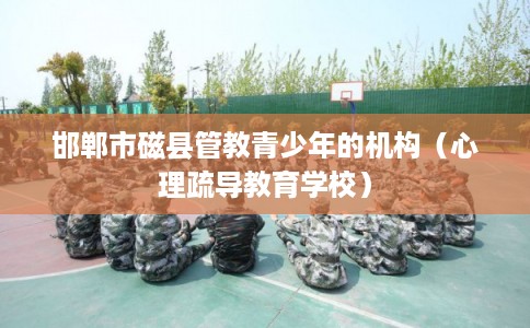 邯郸市磁县管教青少年的机构(心理疏导教育学校) 邯郸市磁县管教青少年的机构(心理疏导教育学校)