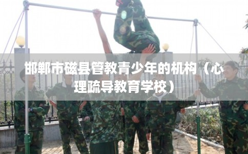 邯郸市磁县管教青少年的机构(心理疏导教育学校) 邯郸市磁县管教青少年的机构(心理疏导教育学校)