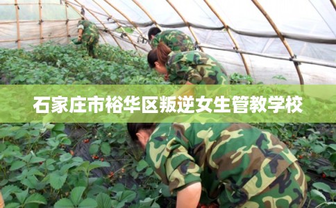 石家庄市裕华区叛逆女生管教学校 石家庄市裕华区叛逆女生管教学校