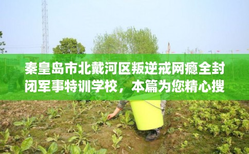 秦皇岛市北戴河区叛逆戒网瘾全封闭军事特训学校,本篇为您精心搜集! 秦皇岛市北戴河区叛逆戒网瘾全封闭军事特训学校,本篇为您精心搜集!