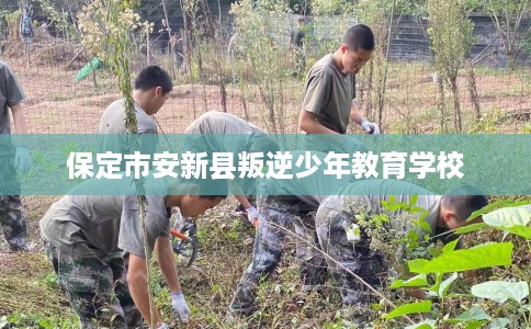 保定市安新县叛逆少年教育学校 保定市安新县叛逆少年教育学校