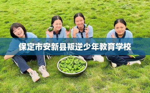 保定市安新县叛逆少年教育学校 保定市安新县叛逆少年教育学校