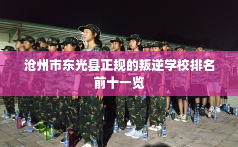 沧州市东光县正规的叛逆学校排名前十一览 沧州市东光县正规的叛逆学校排名前十一览