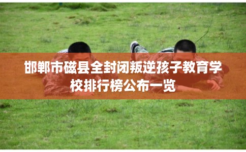 邯郸市磁县全封闭叛逆孩子教育学校排行榜公布一览 邯郸市磁县全封闭叛逆孩子教育学校排行榜公布一览