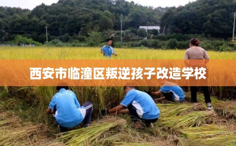 西安市临潼区叛逆孩子改造学校 西安市临潼区叛逆孩子改造学校
