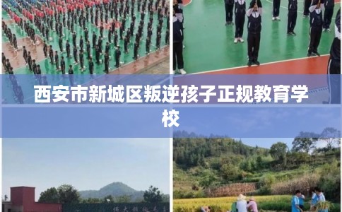 西安市新城区叛逆孩子正规教育学校 西安市新城区叛逆孩子正规教育学校