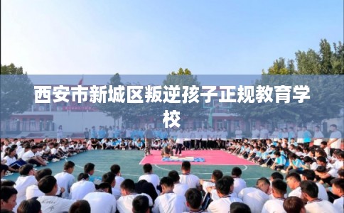 西安市新城区叛逆孩子正规教育学校 西安市新城区叛逆孩子正规教育学校
