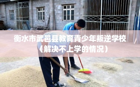 衡水市武邑县教育青少年叛逆学校（解决不上学的情况）