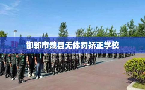 邯郸市魏县无体罚矫正学校