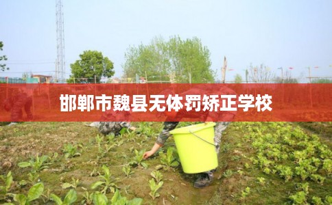 邯郸市魏县无体罚矫正学校